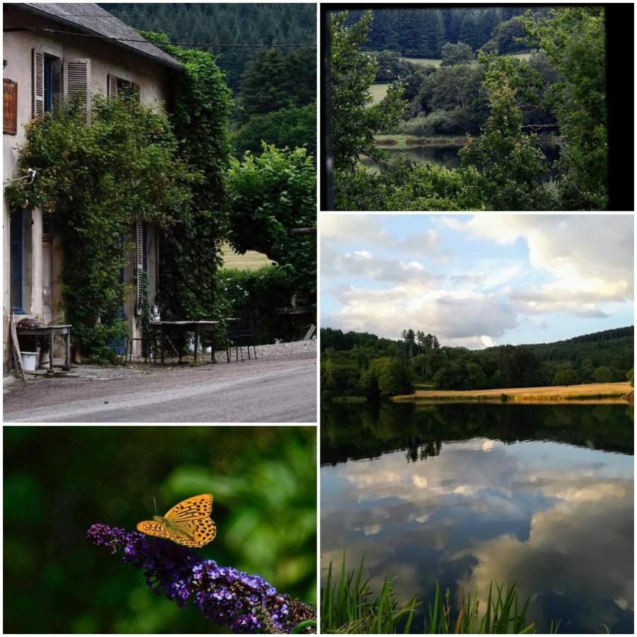 Chambres D'Hotes A L'Etang D'Yonne Arleuf Exterior foto